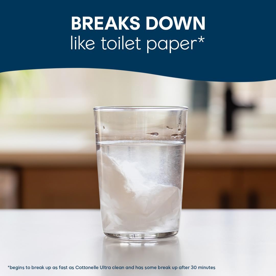 Cottonelle GentlePlus Flushable Wet Wipes with Aloe & Vitamin E, 6 Flip-Top Packs, 42 Wipes Per Pack (252 Total Wipes), Packaging May Vary