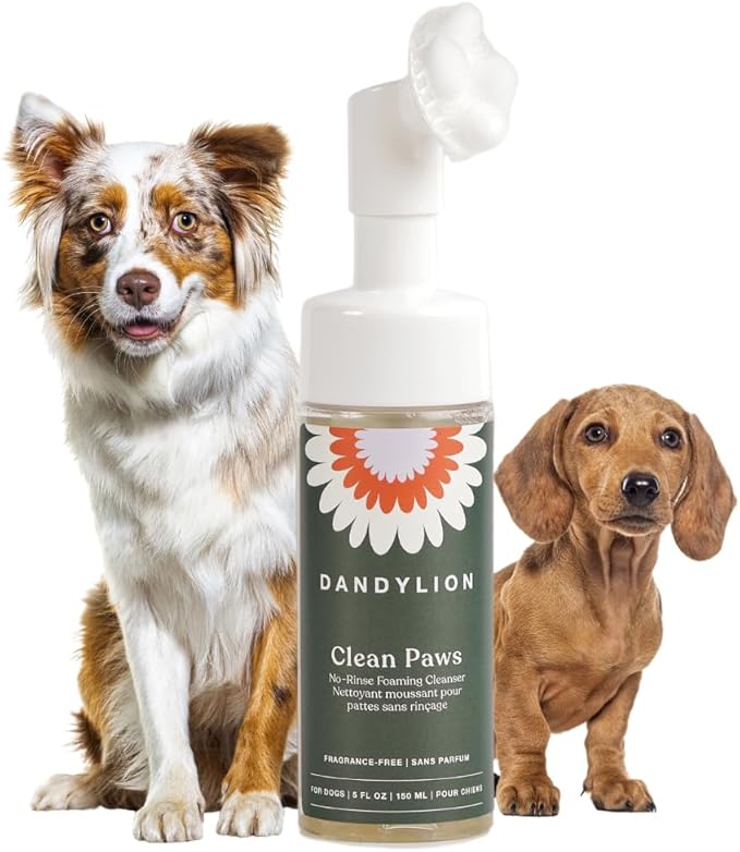 Dandylion Daily Grooming Kit - Clean Paws + Fresh Coat Bundle – No‑Rinse Paw Cleaner & Waterless Coat Spray