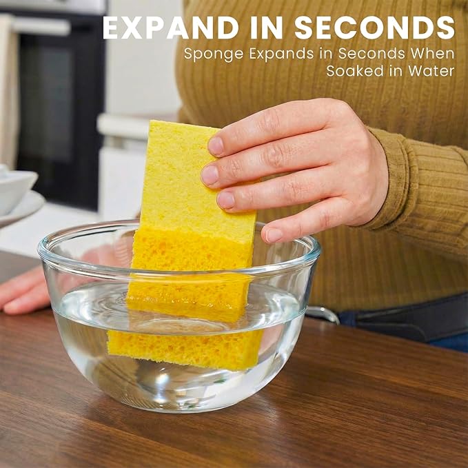 Kitchen Sponges, 12 Count, Compressed Natural Cellulose Sponges, Non-Scratch for Dishes, DIY Fun, Biodegradable & Compostable