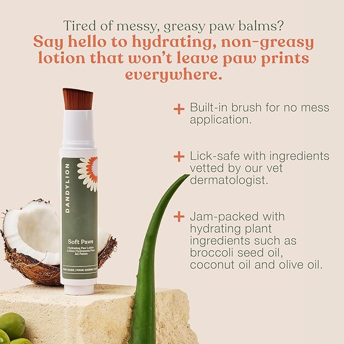 Dandylion Daily Paw Care Kit – No‑Rinse Paw Cleaner + Hydrating Paw Lotion with Brush – Gentle, pH‑Balanced, Fragrance‑Free, Plant‑Based